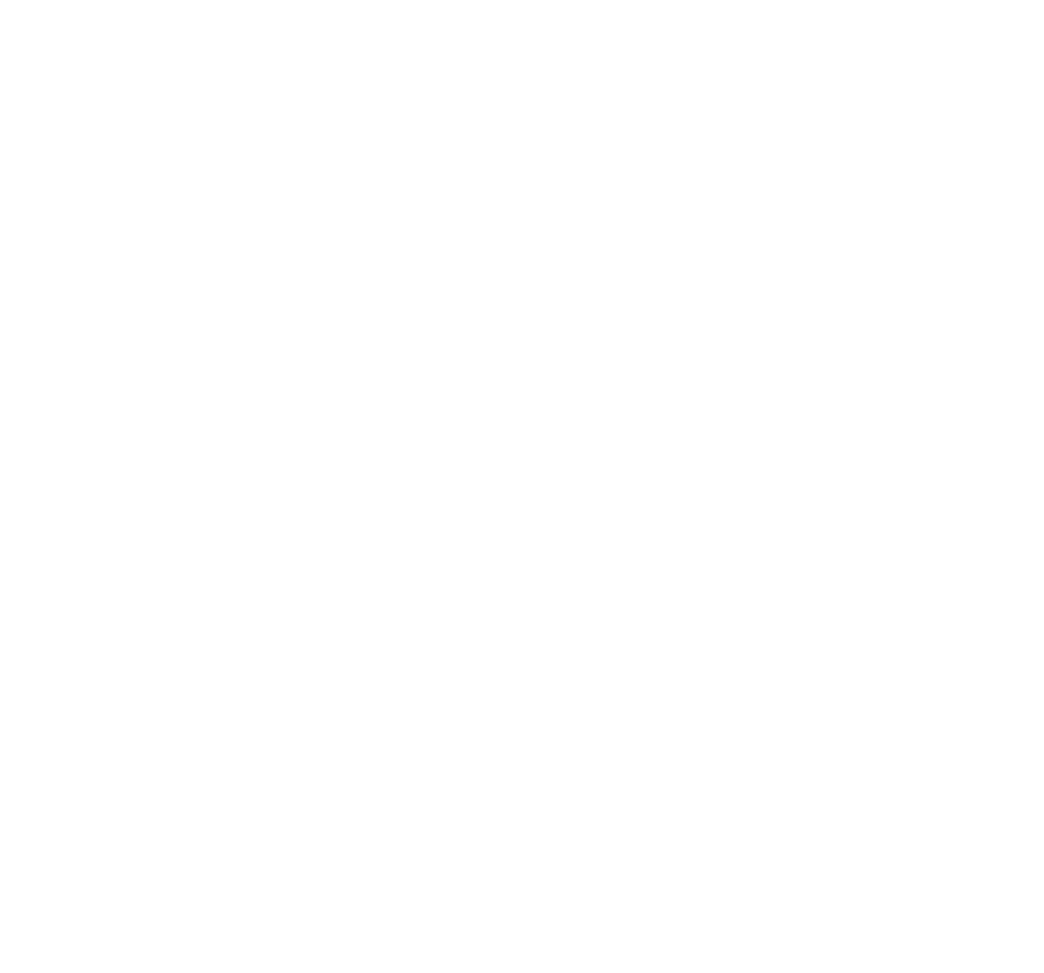 NSJL Banner Titel